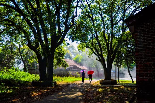 田园生活的唯美句子，赞美向往田园生活唯美句子（10首唯美山水田园诗）