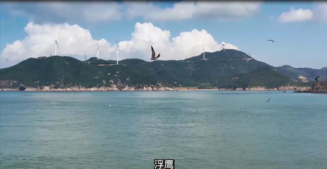 有诗意的岛屿名字,唯美的岛屿名字(跟着古诗游霞浦丨浮鹰岛) 有诗意的岛屿名字,唯美的岛屿名字(跟着古诗游霞浦丨浮鹰岛)