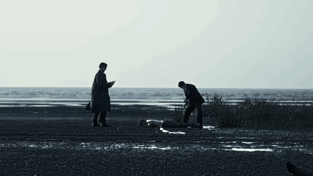 水门桥预计票房，水门桥预测票房39亿