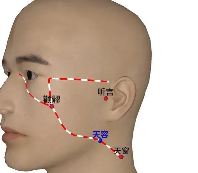  颧髎怎么读，清热消肿、息风止痉—颧髎穴