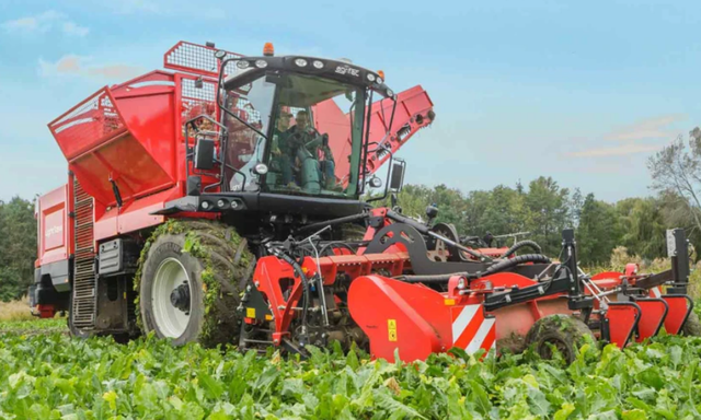 糖是怎么做成的，糖是怎么做出来的（我们吃的30%白糖）