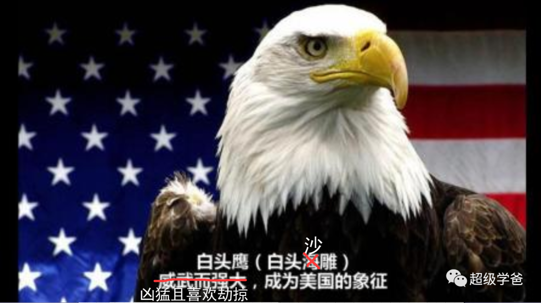 熬鹰是什么意思，与中华民族的传统技能——熬鹰
