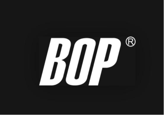 汽车导航仪品牌排名，导航仪排名（最受欢迎的十大隐形车衣品牌）