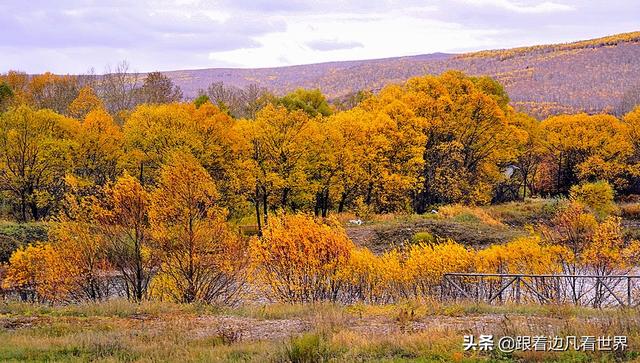 阿尔山的风景，《走进内蒙》景色迷人