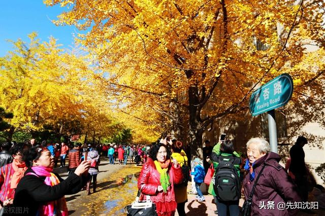 沈阳建筑大学2021年录取分数线，2022年沈阳建筑大学在云南的录取分数线是多少（沈阳的好大学这么多）