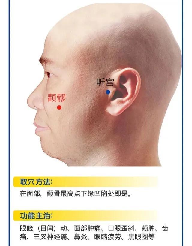  颧髎怎么读，清热消肿、息风止痉—颧髎穴