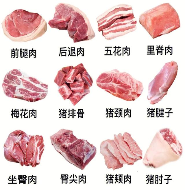什么部位的猪肉最好吃，哪个部位猪肉好吃（哪部分肉好吃？一篇让你涨知识）