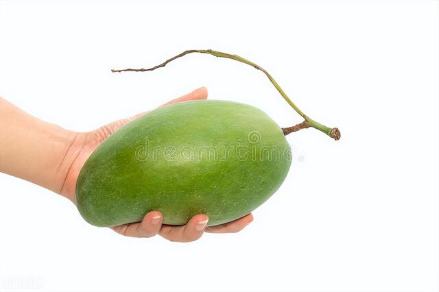 青芒果硬的能直接吃吗，青芒果怎么催熟（青芒果硬硬的要多久才能吃）