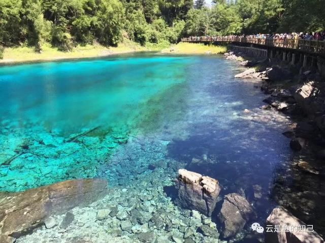 九寨归来不看水，九寨归来不看水的意思（黄山归来不看岳,九寨归来不看水的意思）