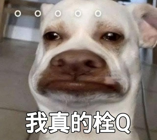 bbq了芭比q是什么意思梗 抖音，bbq了芭比q是什么意思梗（2022上半年网络流行语盘点）