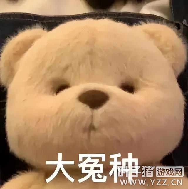 大冤种什么意思网络用语，大冤种是褒义词还是贬义词（据说梦幻西游里有“四大冤种”）