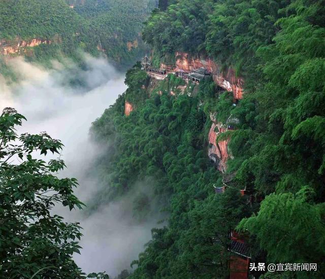 竹海生态旅游景区介绍，到绿水青山的蜀南竹海“走一遭”吧