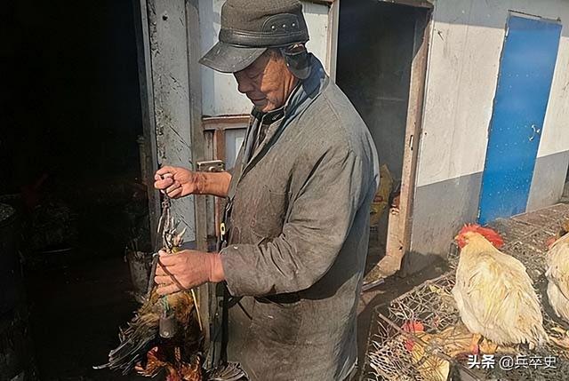 北京动物园百米巨蟒，太平洋底惊现百米巨蟒（海南巨蟒为报恩甘当“保镖”）