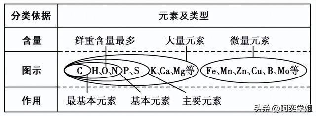 中性粒细胞正常值范围百分比，中性粒细胞百分比多少算正常（细胞中的元素和化合物）