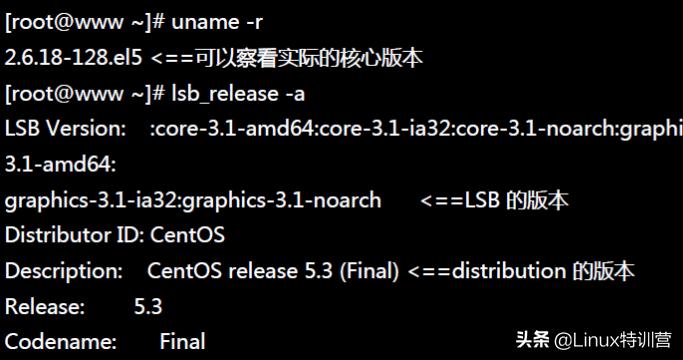 linux系统基本命令的目录（关于linux常用基本命令实例）