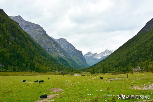 幺妹儿在四川是什么意思，幺妹是什么意思（<四川阿坝>）