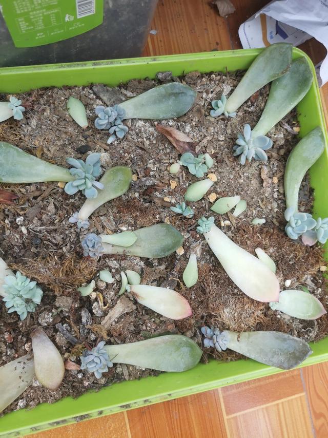 有哪些好听的网名，好看又好听的网名400个（都是些什么名字呢）