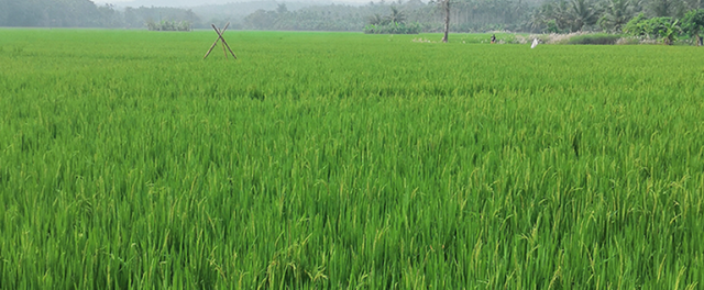 口碑最好十大精华水，精华水排名前十名推荐（这5款高质量“国货精华水”）