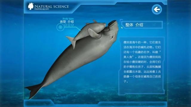 世界上有没有美人鱼，世界上有美人鱼吗（原来美人鱼是真实存在的）