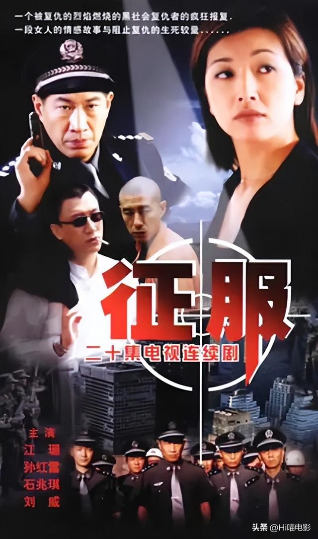 江珊王志飞主演的电视剧是什么，江珊和王志飞主演的电视剧叫什么名（国内评分最高的10部扫黑剧）