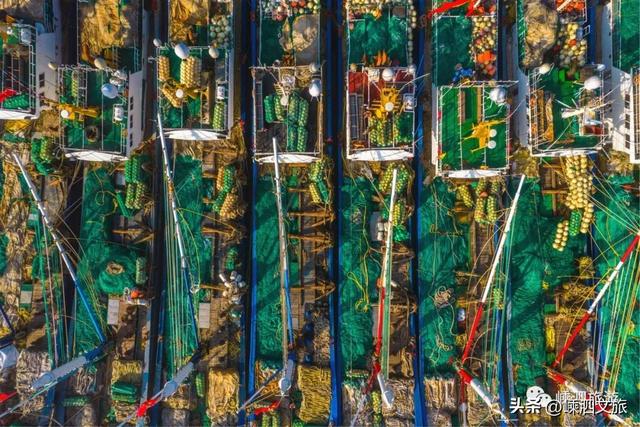 葱油黑鲷鱼做法，油炸鲷鱼做法（东海全面解禁）