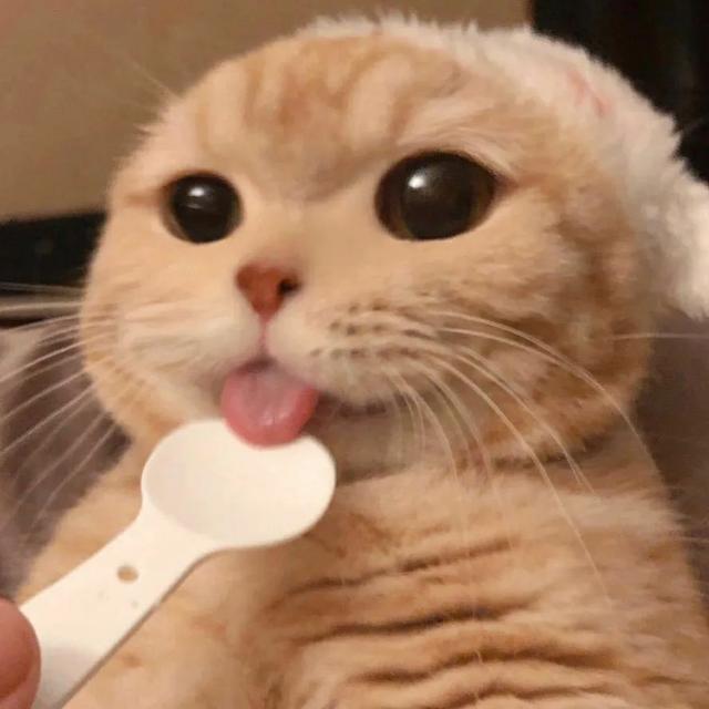 超甜的情侣头像，超级甜的情头微信（130张情侣、闺蜜头像）