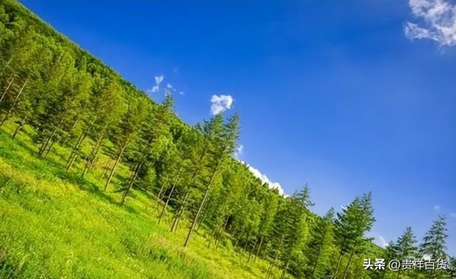 夏天要热到几月份，夏天天气热到几月份（2023年夏季气温比往年是高还是低）