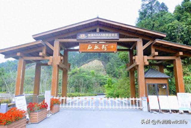 四川行(27)内江·威远石板河