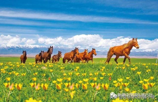 新疆旅游攻略必玩的景点有哪些，新疆旅游攻略必玩的景点有哪些地方（盘点新疆此生必去的50处风景）
