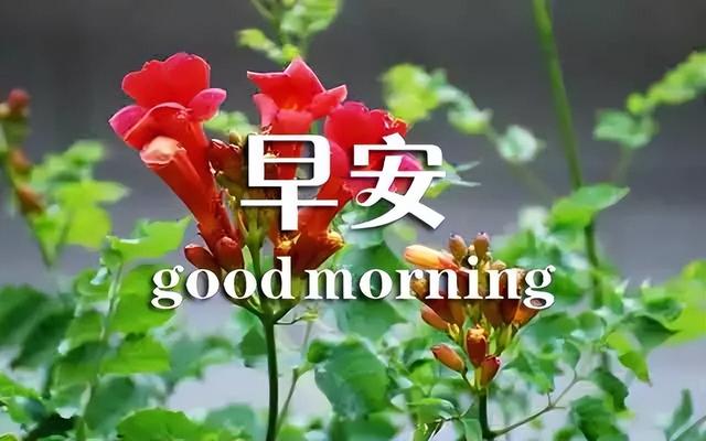 美好祝愿的简短句子，2021美好祝愿的简短句子（微信群清晨慰问朋友的早上好祝福句子）