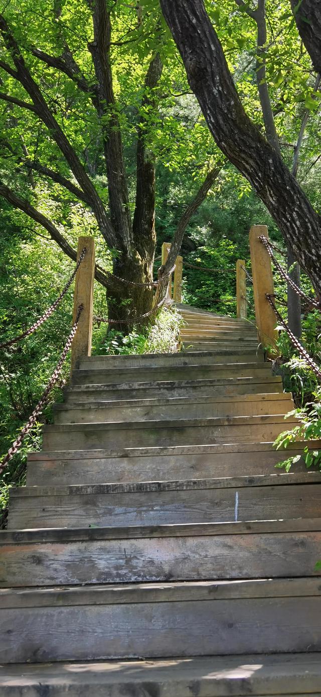 祥峪森林公园有什么可以玩的景点，祥峪森林公园