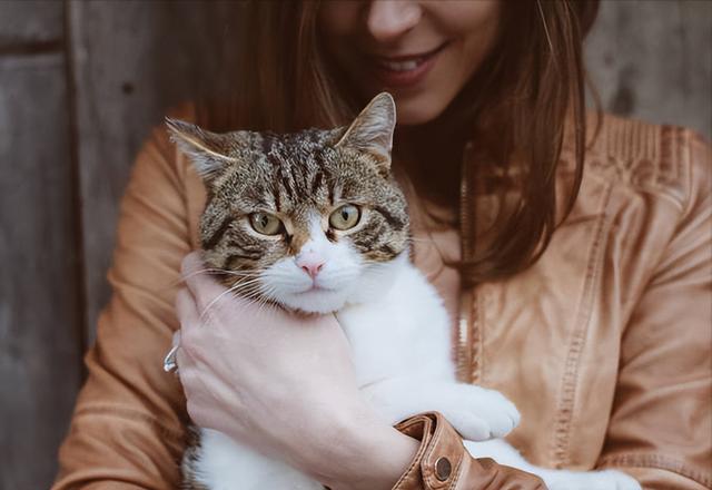 养猫的人容易得什么病，养猫容易得什么病（网友：我得了好几种病）