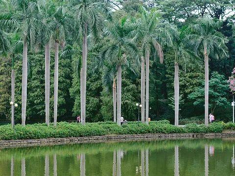 广州羊城十大公园，广州公园排行榜广州10大必玩公园
