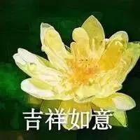 老年人用的头像，比较适合老人的头像（中老年微信头像）