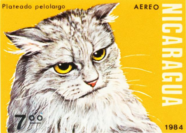 尼加拉瓜大运河，能改变全球贸易的尼加拉瓜运河（尼加拉瓜、中尼外交的一波三折和“中尼运河项目”）