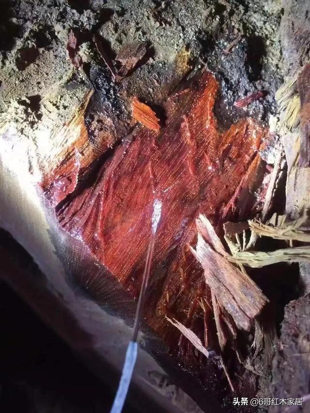 小叶紫檀牛毛纹，小叶紫檀直丝纹特征（紫檀里面的牛毛纹是什么东东）