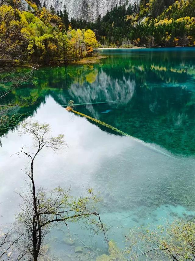 四川九寨沟简介，四川九寨沟介绍（四川九寨沟）