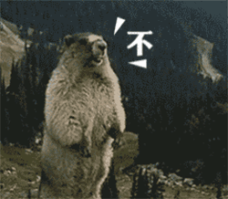 土拨鼠尖叫表情包，土拨鼠尖叫表情包在哪里下啊（土拨鼠暴走大叫的表情包）