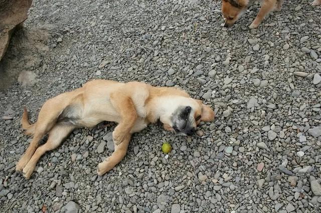 又简单又好的对联，又简单又好对联（老百姓津津乐道的7副对联）