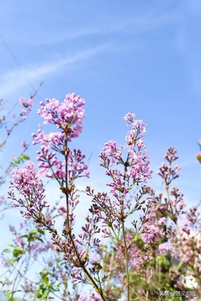 经常换头像的人的性格特点，爱换头像的女生的性格（不要轻易去撩一个频繁换微信头像的男人）