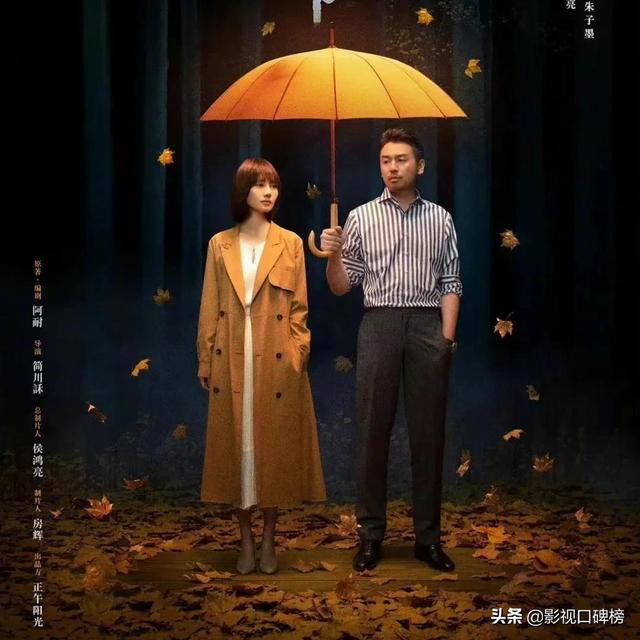 雷佳音演过的电视剧，雷佳音电视剧大全最新（《相逢时节》评分为什么只有《人世间》的一半）