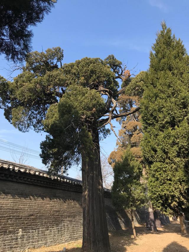 弥高是什么意思，钻之弥坚仰之弥高是什么意思（重游孔庙之—：孔庙的石坊庙门）