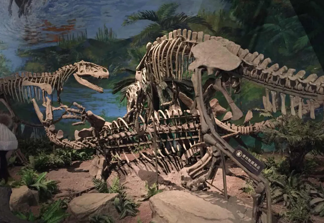 成都市内旅游攻略，成都市内一日游最全攻略（赏彩灯、品美食、聊历史）