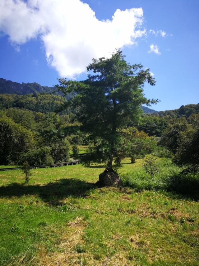 秦岭云屏景点介绍，云屏三峡风景区——秦岭深处的避暑圣地