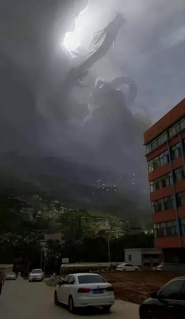 世界上有没有龙，世界上有龙吗（看来西游记等故事都不是编造的）