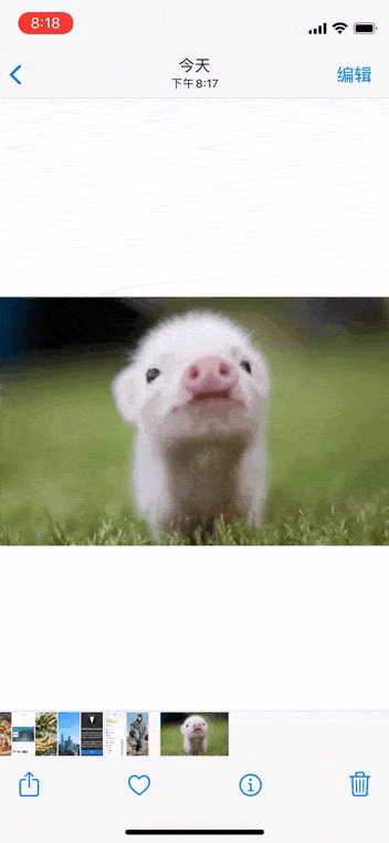 iphone相册，iphone如何保护自己的相册（iPhone的正确打开方式）