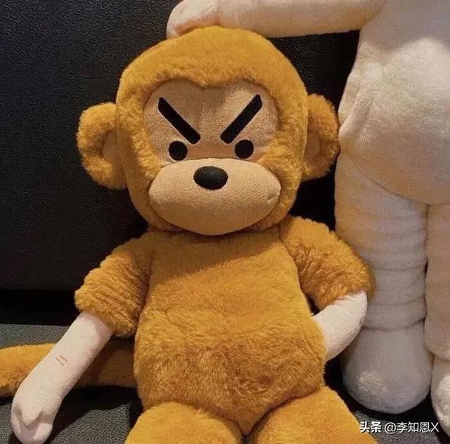 抱猫的女生头像，乔：可爱抱猫女头 人刚认识的时候总是拘谨中带着温柔微信（有趣可爱的情侣头像啊）