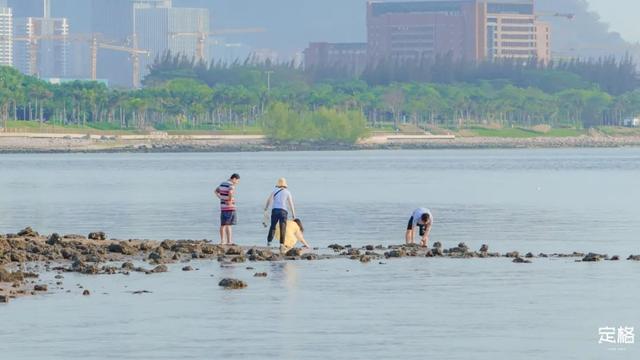 深圳大梅沙好玩吗，为何国庆首日游客仅200多人（深圳10个海边沙滩，超好玩）