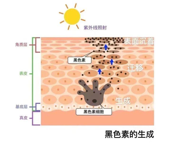 女人怎样美白祛斑效果好，真实可靠的祛斑方法