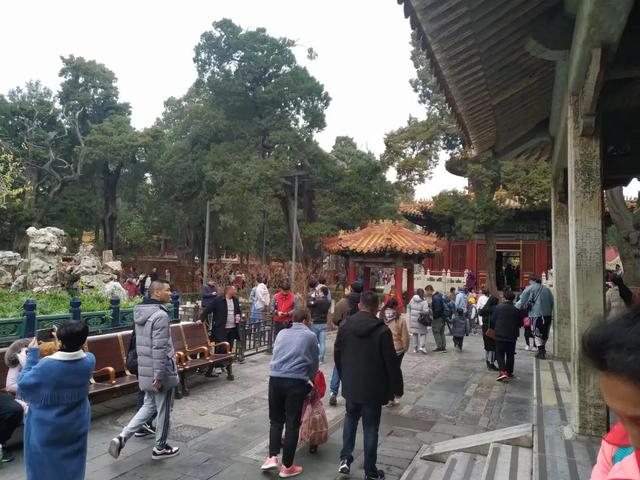 故宫一日游攻略，<最佳参观路线、精华景点、盖章点等>